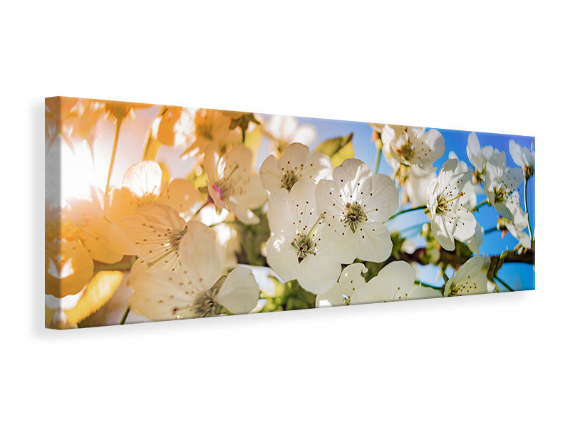 canvas-print-the-apple-tree-blossom