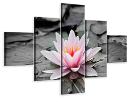 3-piece-canvas-print-the-art-of-water-lily