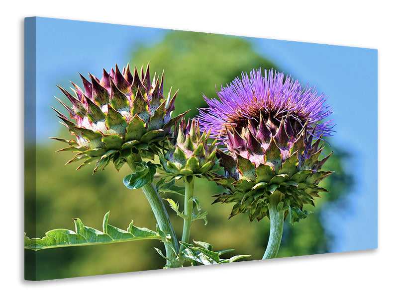 3-piece-canvas-print-the-artichoke-xl
