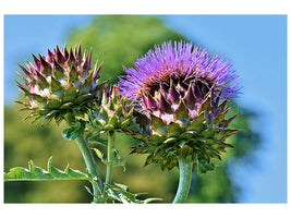 modern-3-piece-canvas-print-the-artichoke-xl