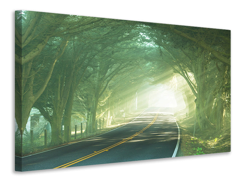 panoramic-3-piece-canvas-print-the-avenue