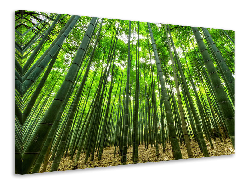 modern-4-piece-canvas-print-the-bamboo-forest