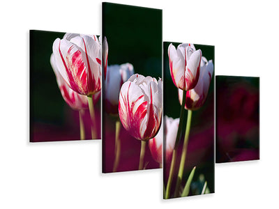 canvas-print-the-beauty-of-the-tulips