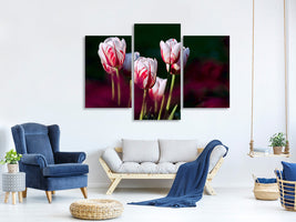 modern-4-piece-canvas-print-the-beauty-of-the-tulips