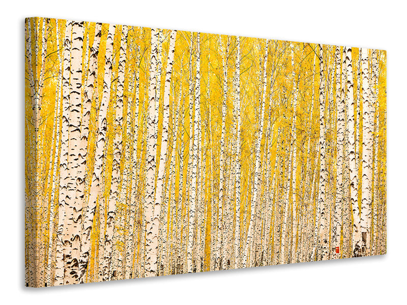 canvas-print-the-birch-forest-in-autumn