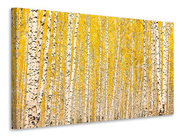 modern-3-piece-canvas-print-the-birch-forest-in-autumn