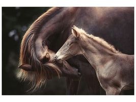 3-piece-canvas-print-the-bond