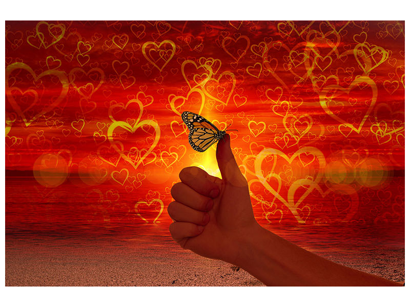 3-piece-canvas-print-the-butterfly-and-the-love