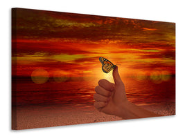3-piece-canvas-print-the-butterfly-in-the-evening-light