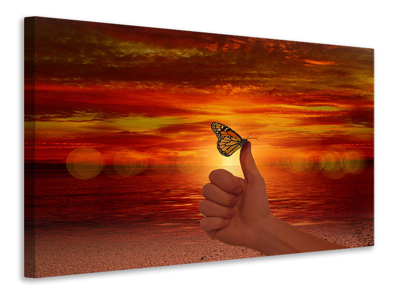 3-piece-canvas-print-the-butterfly-in-the-evening-light