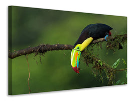 5-piece-canvas-print-the-colors-of-costa-rica