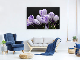 4-piece-canvas-print-the-crocus