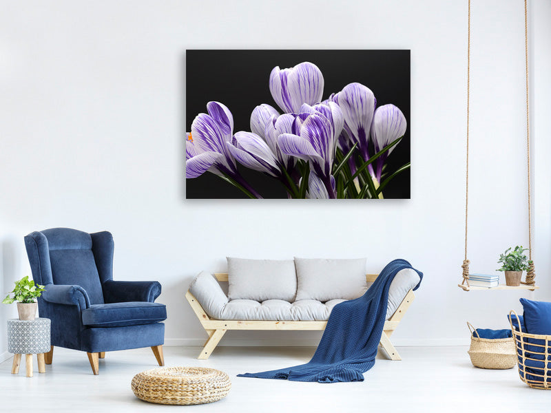 4-piece-canvas-print-the-crocus