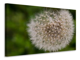 modern-3-piece-canvas-print-the-dandelion-in-nature