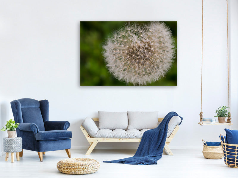 modern-3-piece-canvas-print-the-dandelion-in-nature