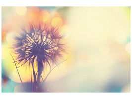 4-piece-canvas-print-the-dandelion-in-the-light