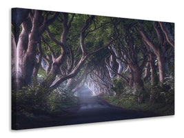 modern-3-piece-canvas-print-the-dark-hedges