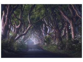 3-piece-canvas-print-the-dark-hedges