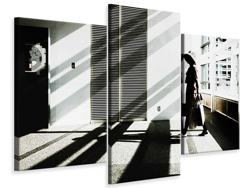 3-piece-canvas-print-the-daydream