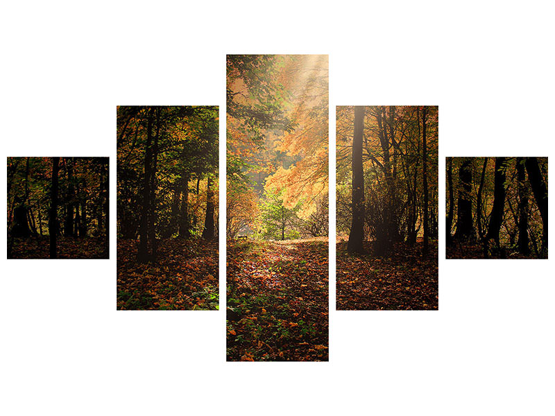 modern-4-piece-canvas-print-the-deciduous-forest