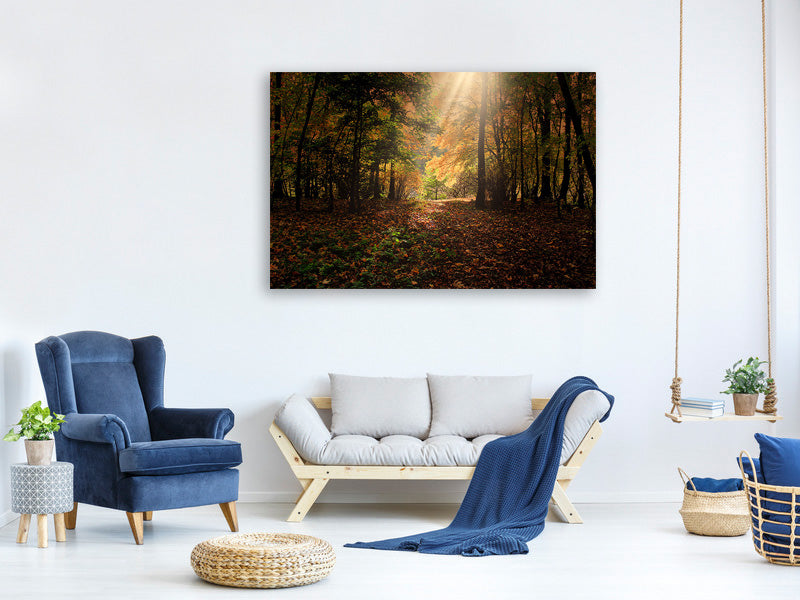 modern-3-piece-canvas-print-the-deciduous-forest