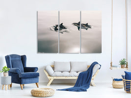 panoramic-3-piece-canvas-print-the-dolphins