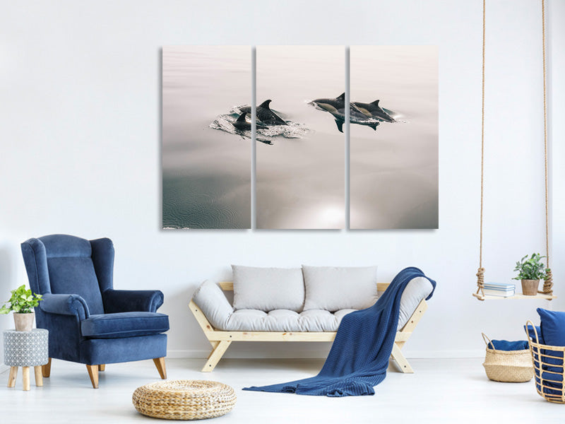 canvas-print-the-dolphins