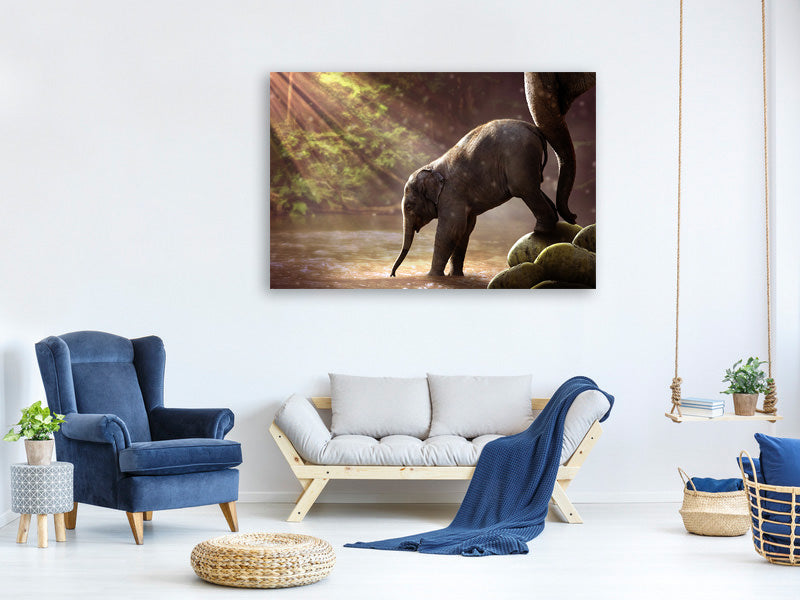 3-piece-canvas-print-the-elephant-baby