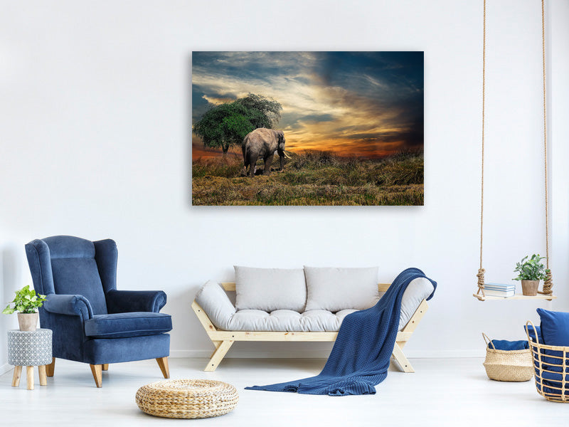 3-piece-canvas-print-the-elephant-in-the-sunset