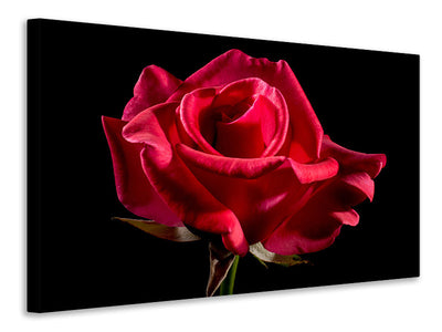 3-piece-canvas-print-the-flower-of-love