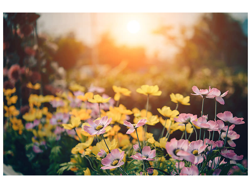 3-piece-canvas-print-the-flowers