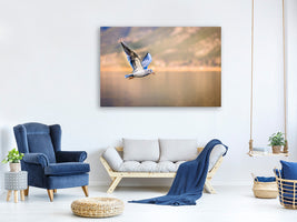3-piece-canvas-print-the-flying-seagull