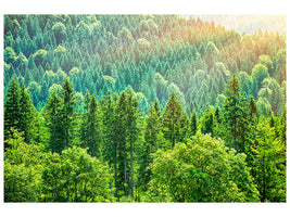 modern-4-piece-canvas-print-the-forest-hill