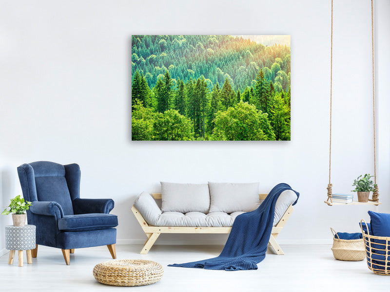 panoramic-3-piece-canvas-print-the-forest-hill