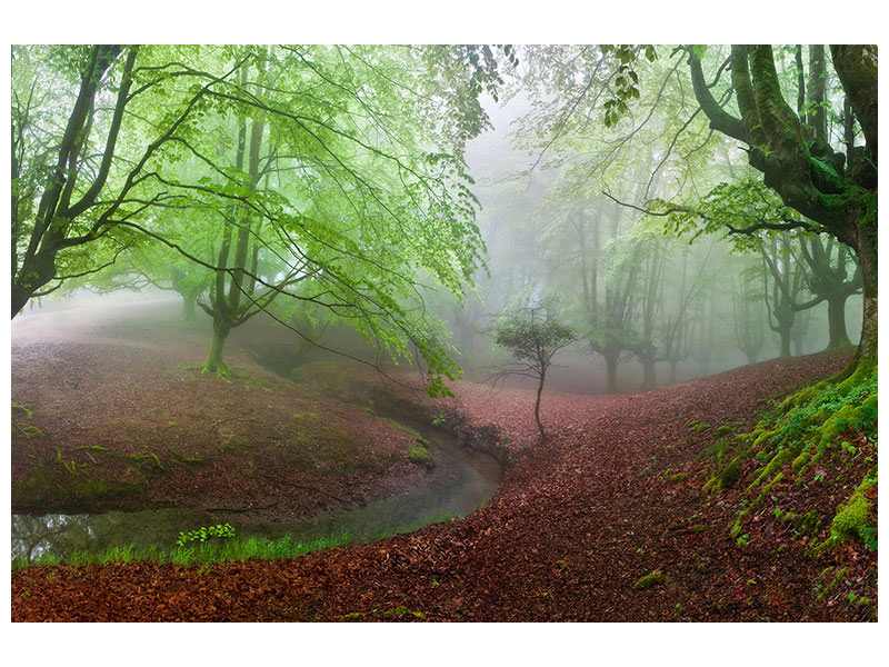 3-piece-canvas-print-the-forest-maravillador-iii