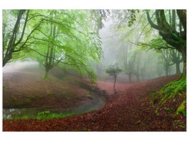 modern-4-piece-canvas-print-the-forest-maravillador-iii