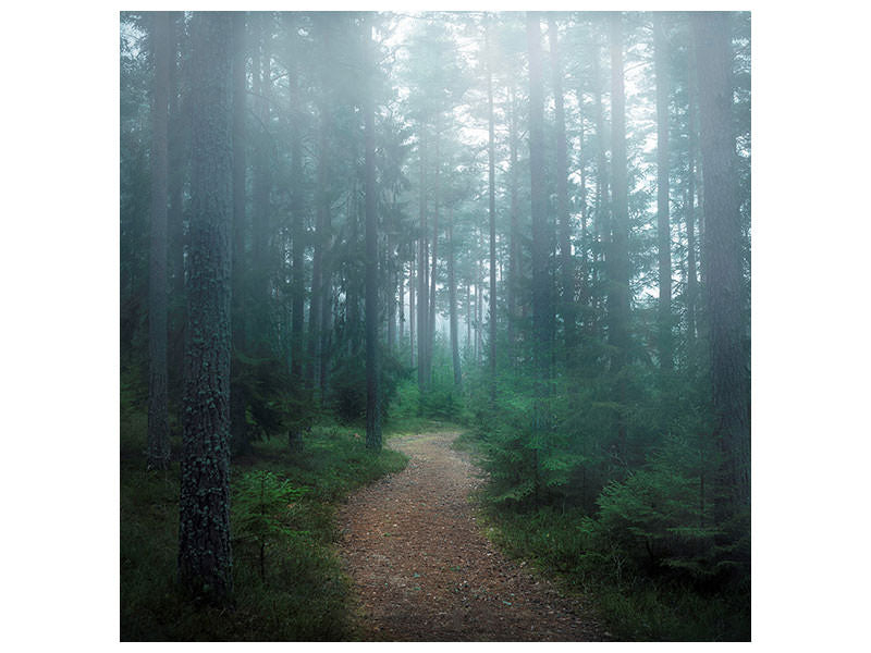 4-piece-canvas-print-the-forest-of-secrets