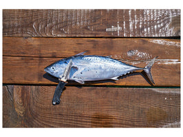 panoramic-canvas-print-the-fresh-fish
