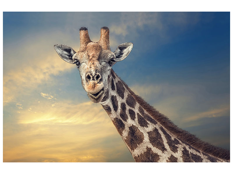 3-piece-canvas-print-the-friendly-giant