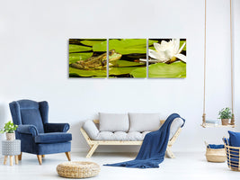 3-piece-canvas-print-the-frog-and-the-water-lily