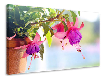 4-piece-canvas-print-the-fuchsias