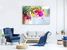 3-piece-canvas-print-the-fuchsias