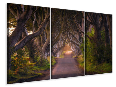 5-piece-canvas-print-the-glowing-hedges