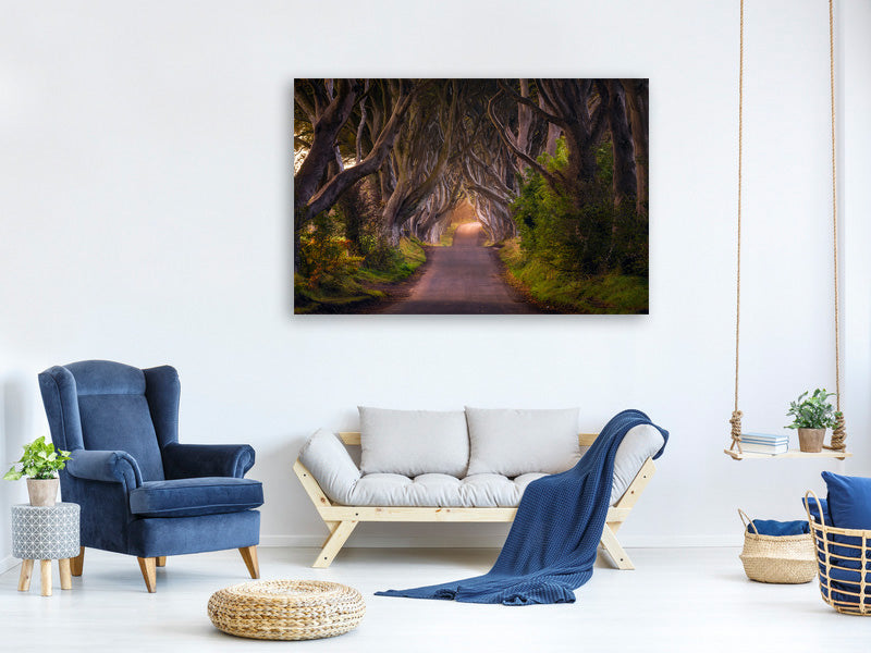 3-piece-canvas-print-the-glowing-hedges