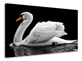 3-piece-canvas-print-the-graceful-swan