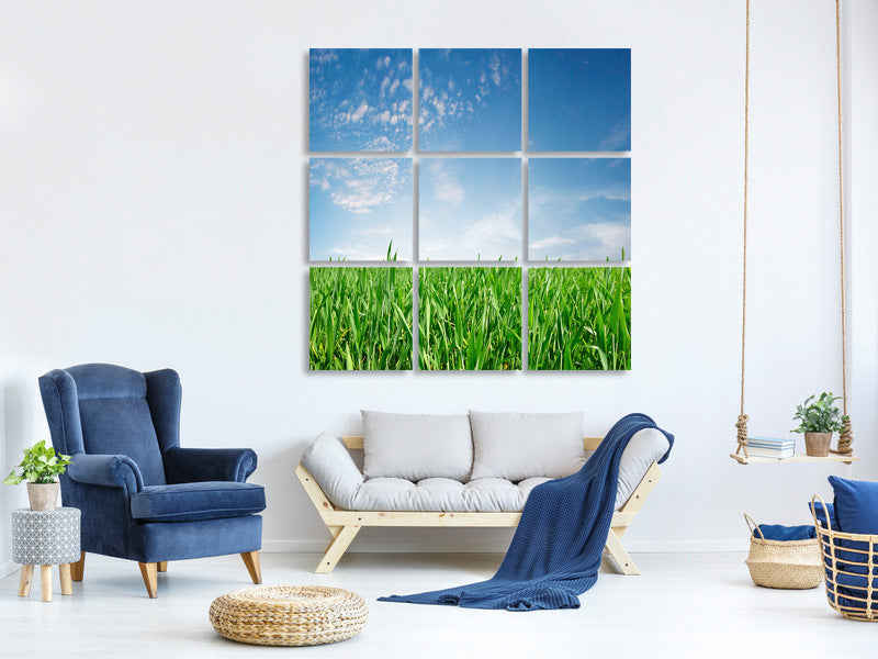 canvas-print-the-grass