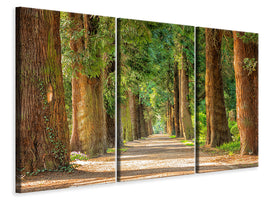 5-piece-canvas-print-the-green-avenue
