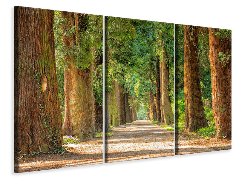modern-3-piece-canvas-print-the-green-avenue