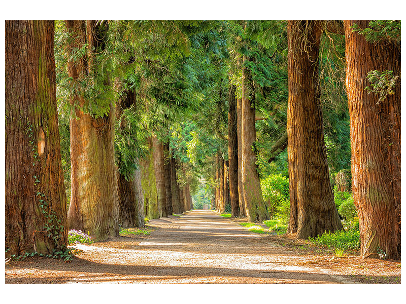 5-piece-canvas-print-the-green-avenue