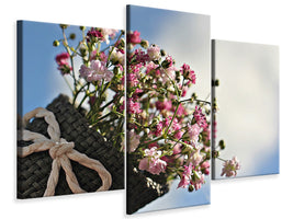 canvas-print-the-gypsophila